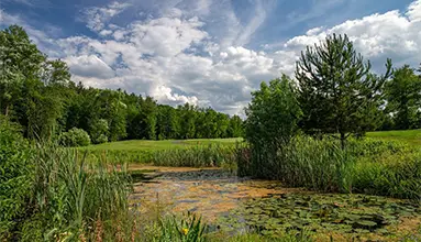 Greensgate Golf & Leisure Resort - Fotogalerie 16